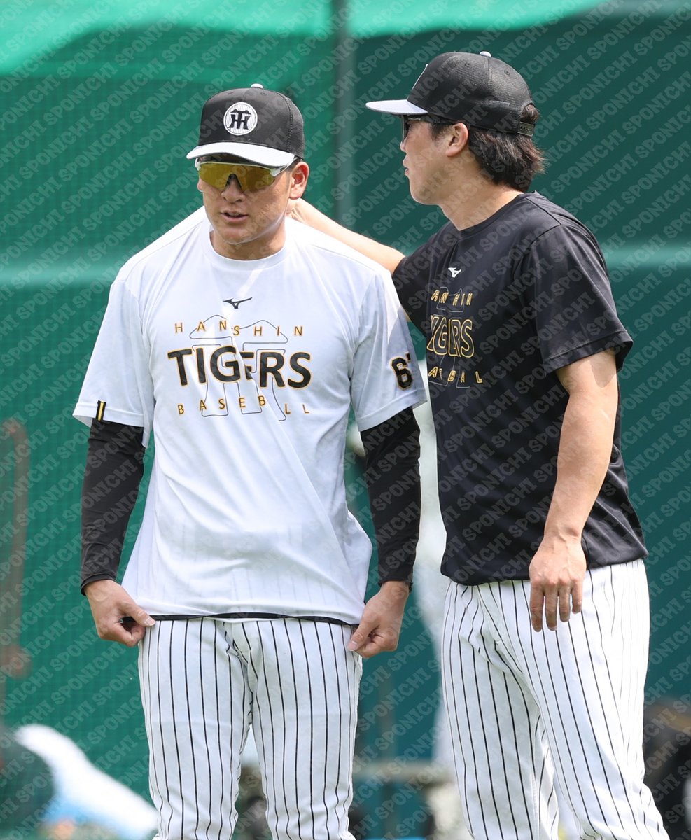 スポニチTIGERSフォト tweet media