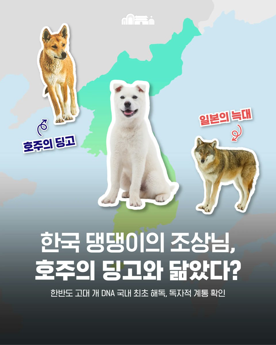 국가유산청 tweet media