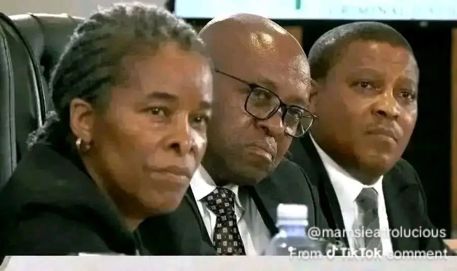 Ntsika tweet media