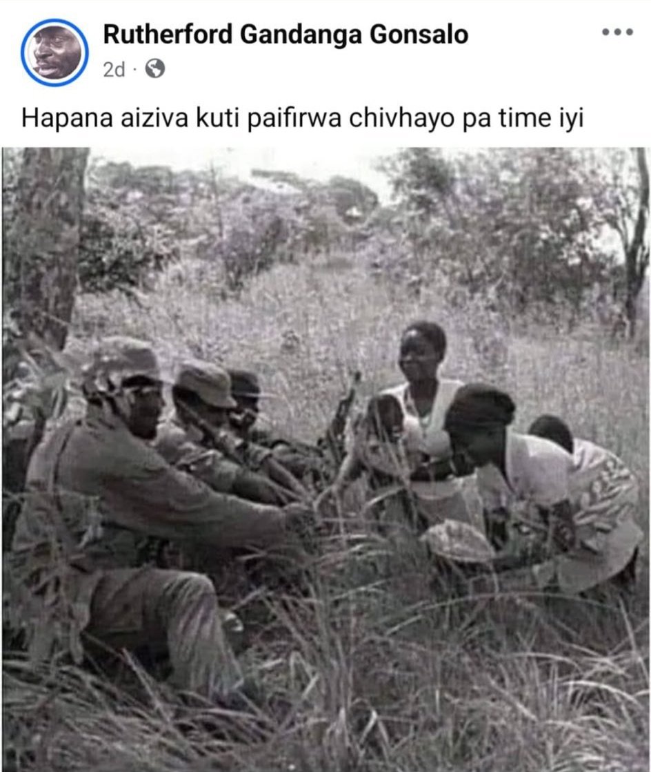 Nyasha tweet media