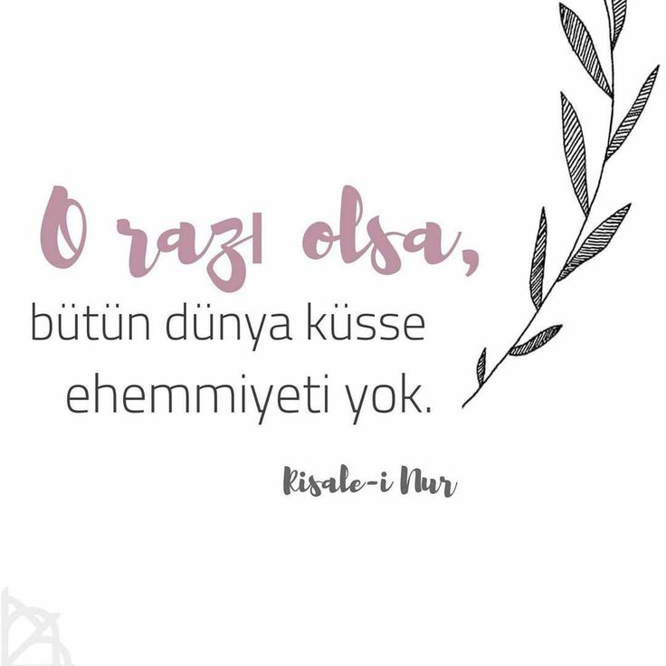 Zulkarneyn Nuri tweet media