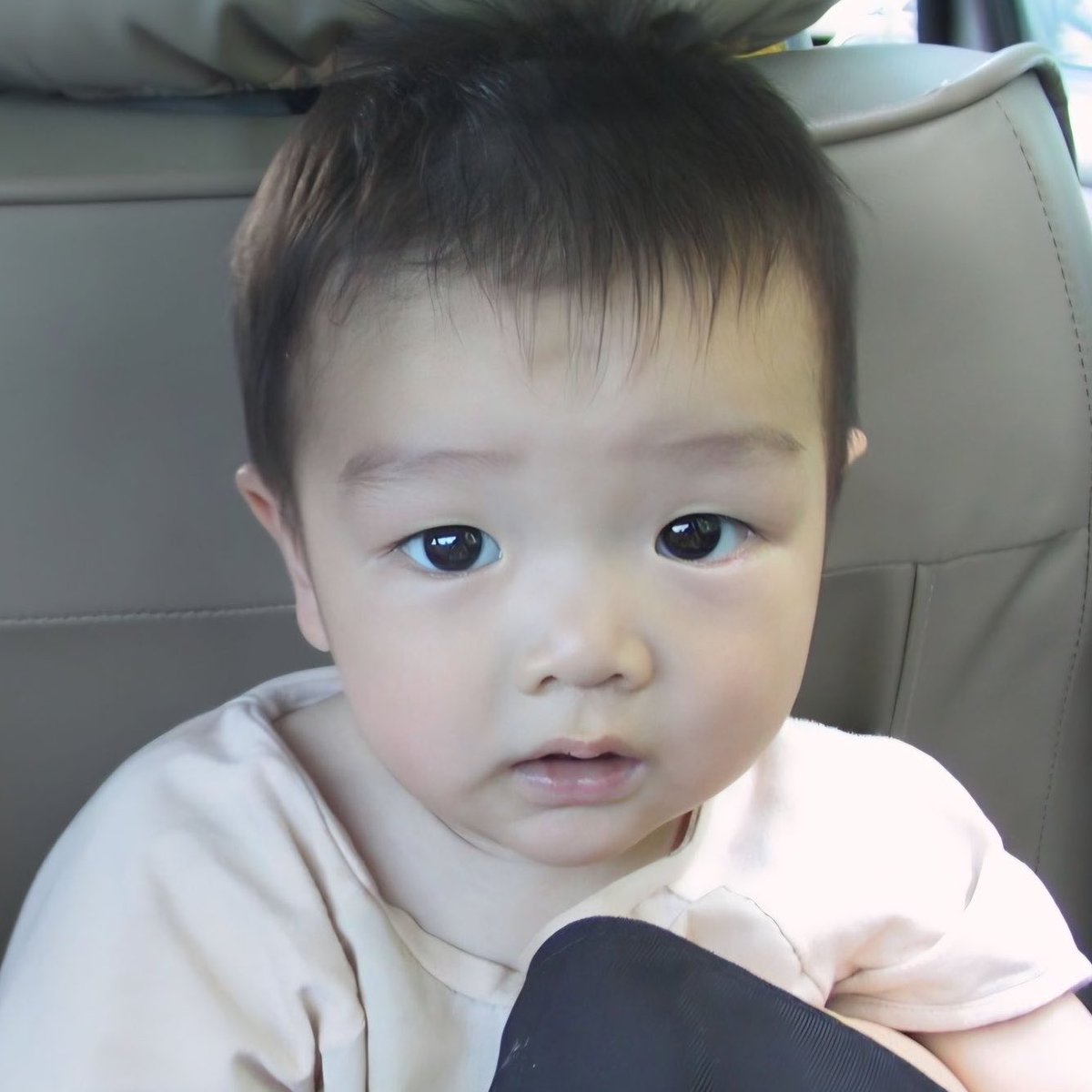 개구리 tweet media