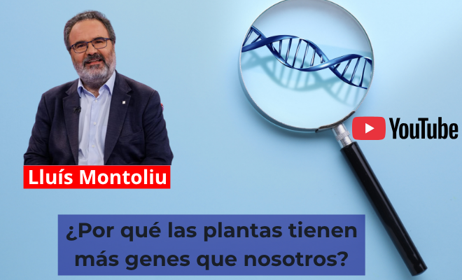bioterioscom's tweet photo. 🌿🧬 ¿Por qué las plantas tienen más genes que nosotros?

@LluisMontoliu presenta una fascinante reflexión sobre genética, evolución y complejidad biológica 🌱🔬

📺 Mira la charla en Bioterioscom:
https://t.co/q3BuIj34Gy https://t.co/aY54yhGZ4l