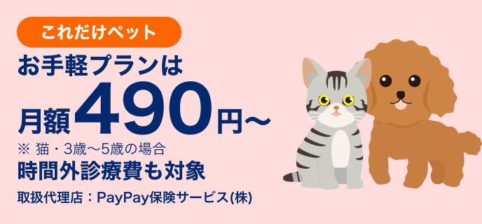 PayPay株式会社 (@PayPayOfficial) / Posts / X