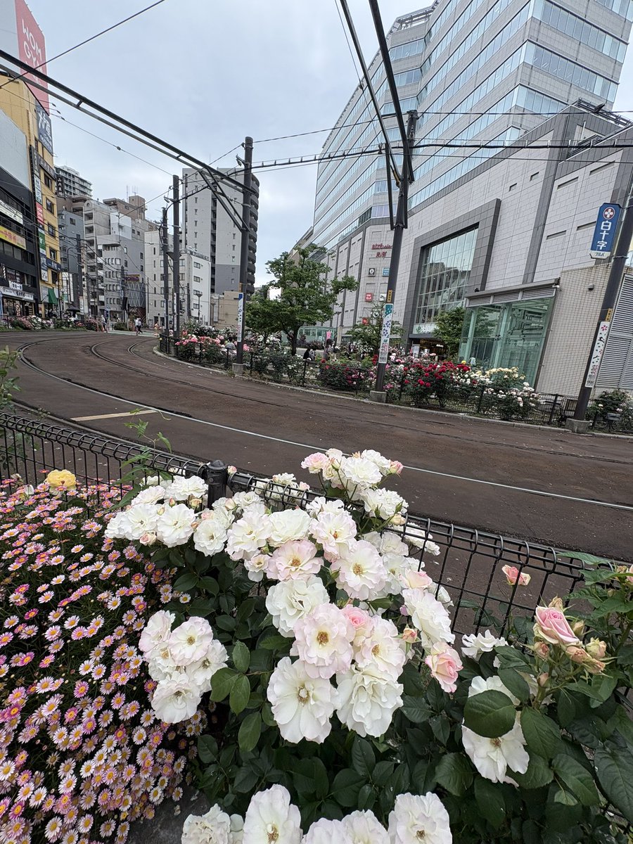 いぬ tweet media