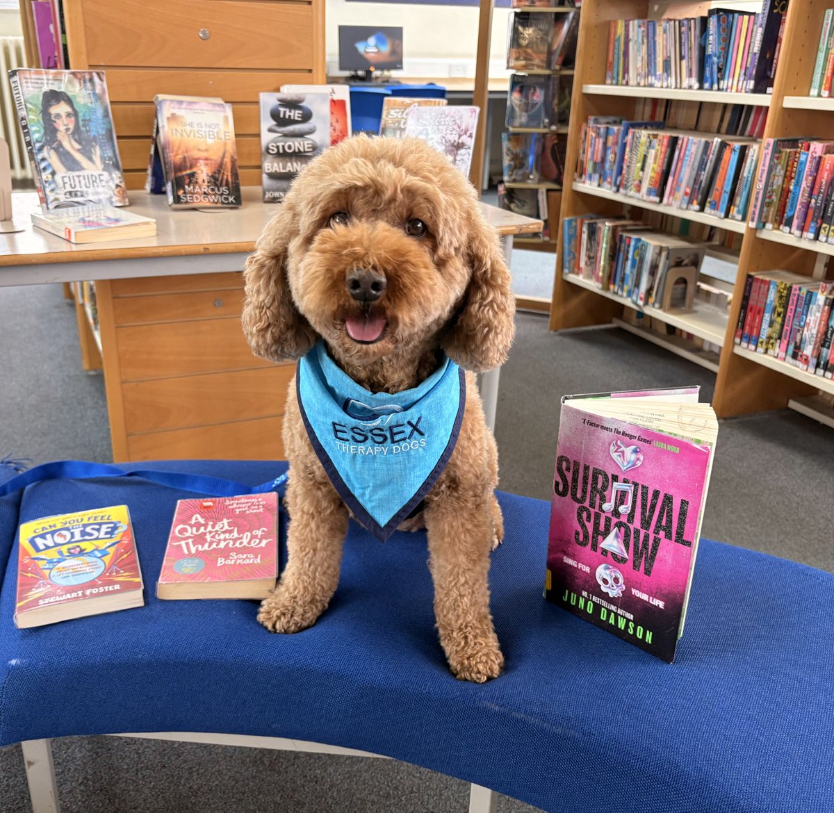 SPSLibrary tweet media