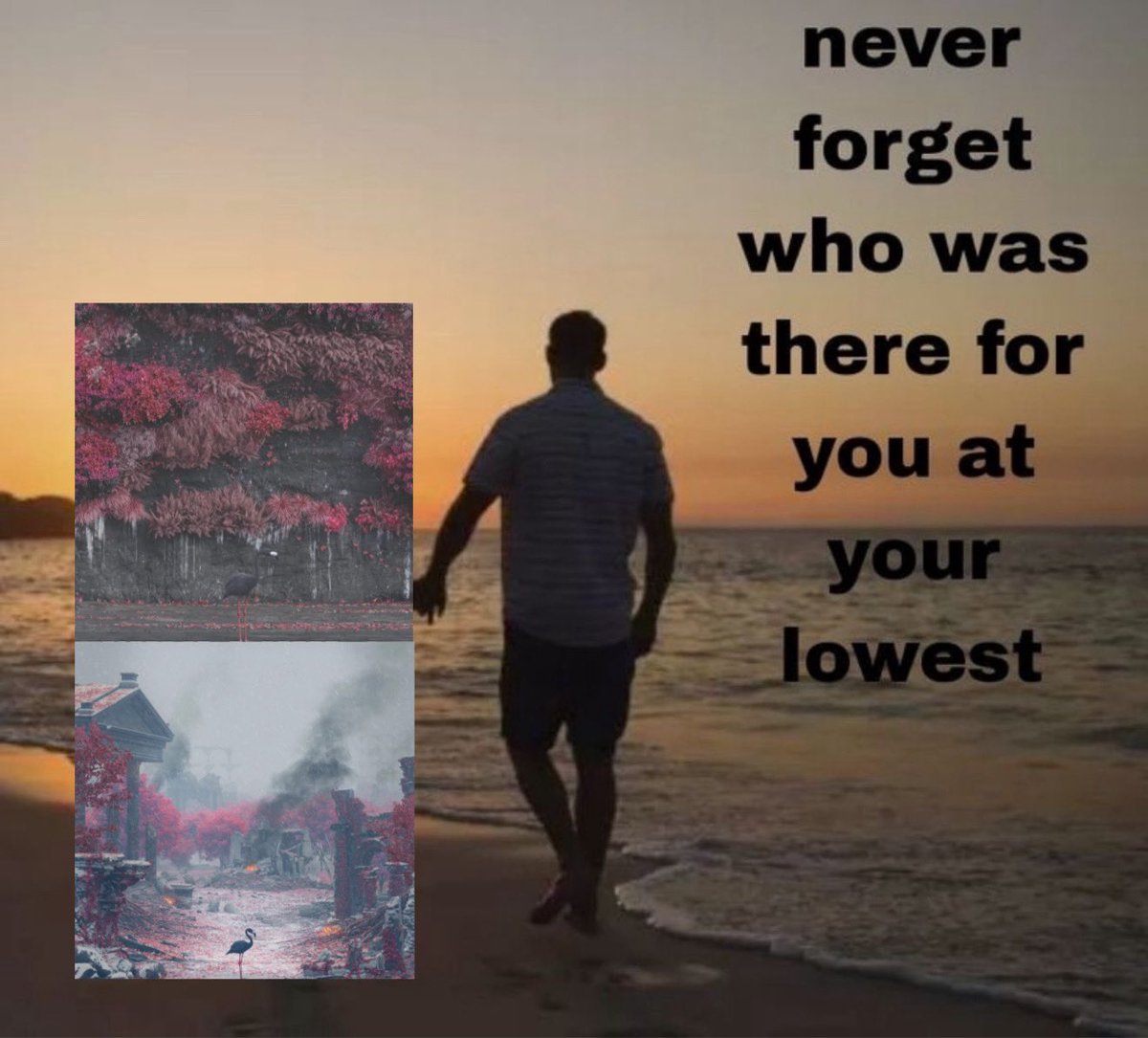 🌷 ⋮ 𝙯𝙖𝙘𝙠 .ᐟ 𝙩𝙤𝙥𝙞𝙖 tweet media