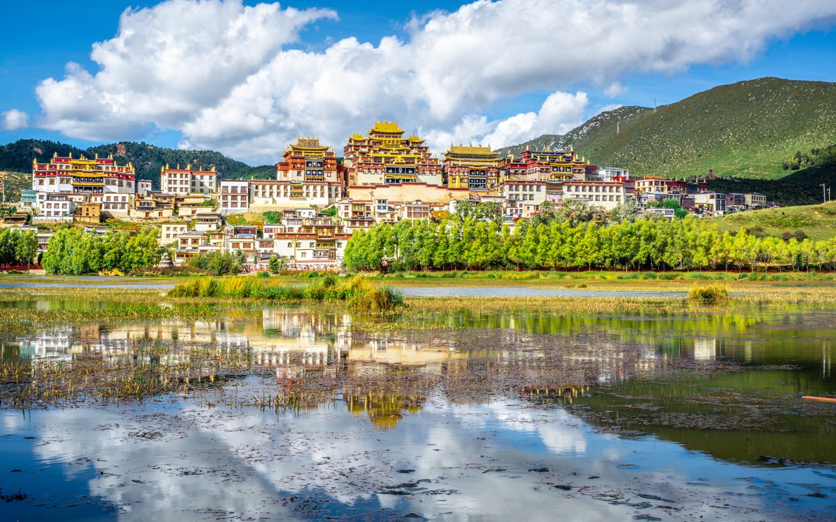 PANGEA The Travel Store tweet media