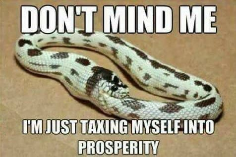 Scottish Libertarian Party #ScotsLibertarians tweet media
