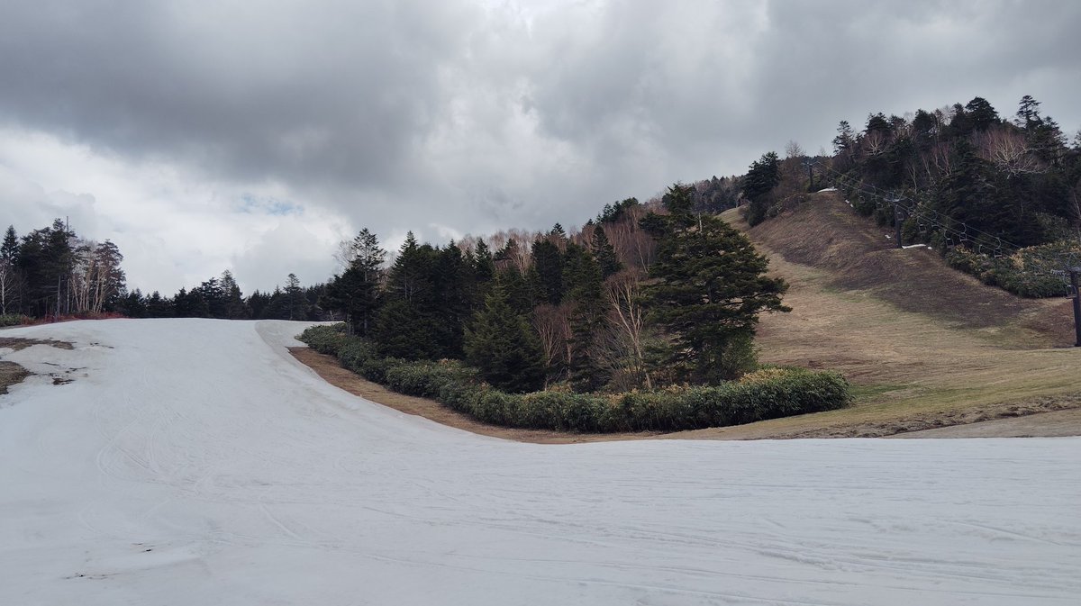 初雪ページ 2026年2月3日。雪の壁が、どんどん高くなってきました😂左側よりも右側
