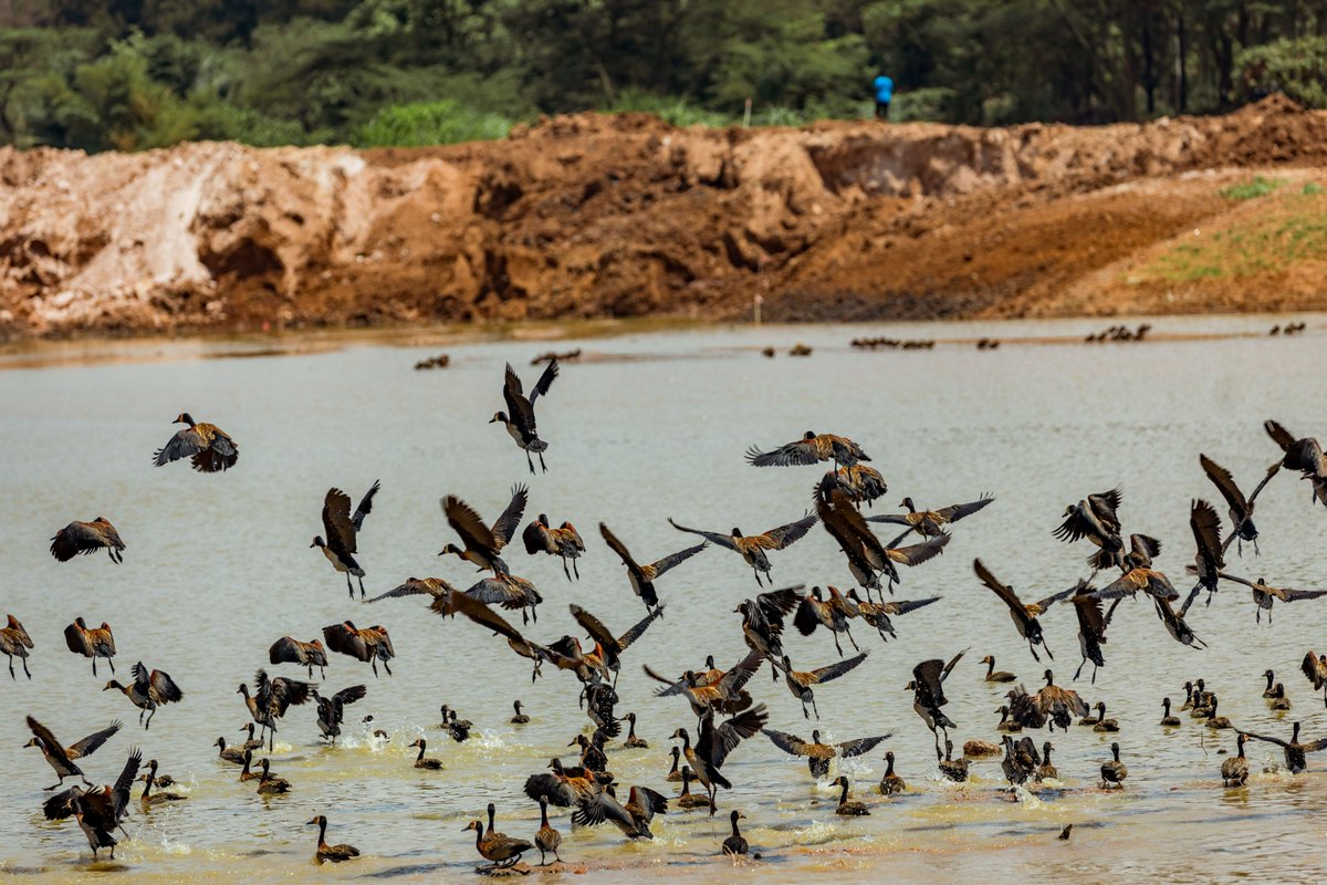 Rwanda Environment Management Authority tweet media