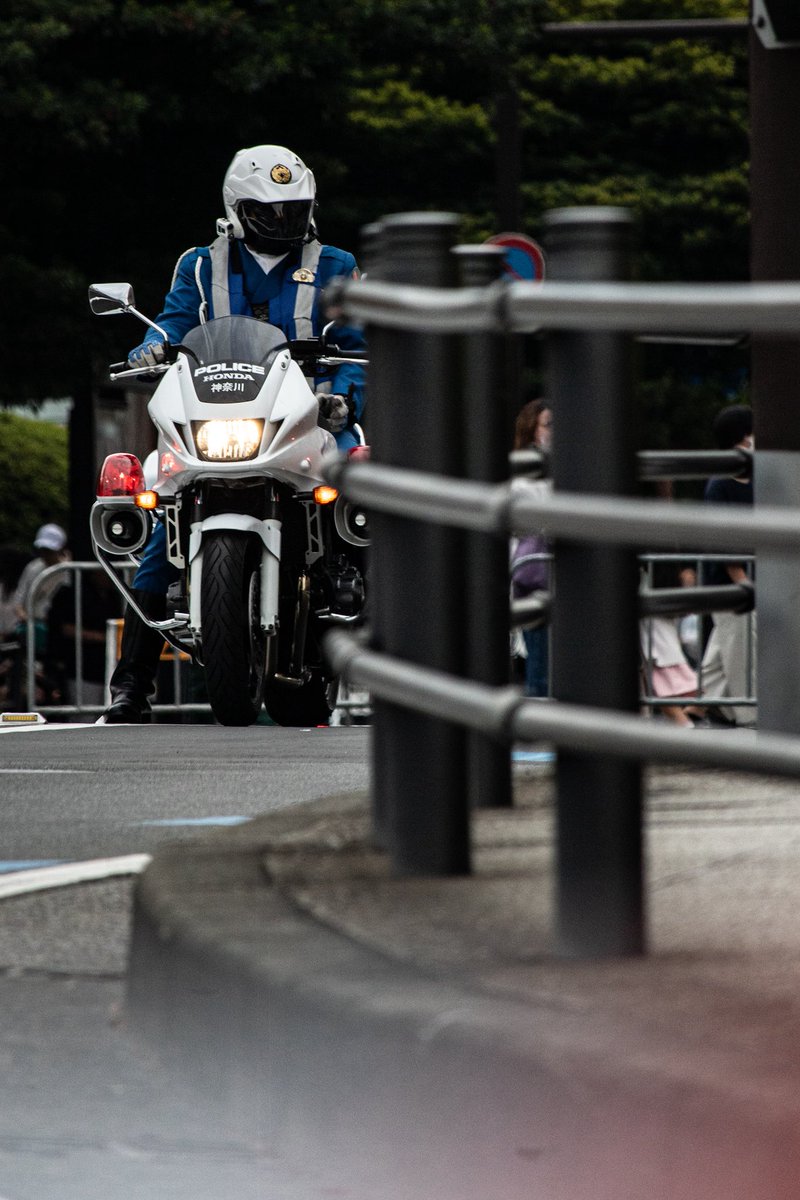 かの tweet media