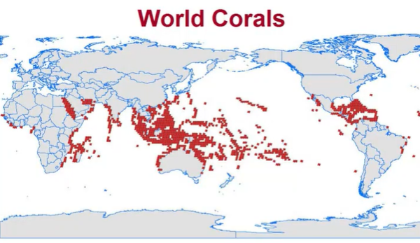 Per giudicare l'utilità e l'attendibilità dell’ONU, basta considerare che secondo quanto dice, il 99% delle barriere coralline scomparirà con solo 2°C di riscaldamento.
Per far crollare questa affermazione basta cui guardare la mappa sotto.

Le barriere coralline sono concentrate