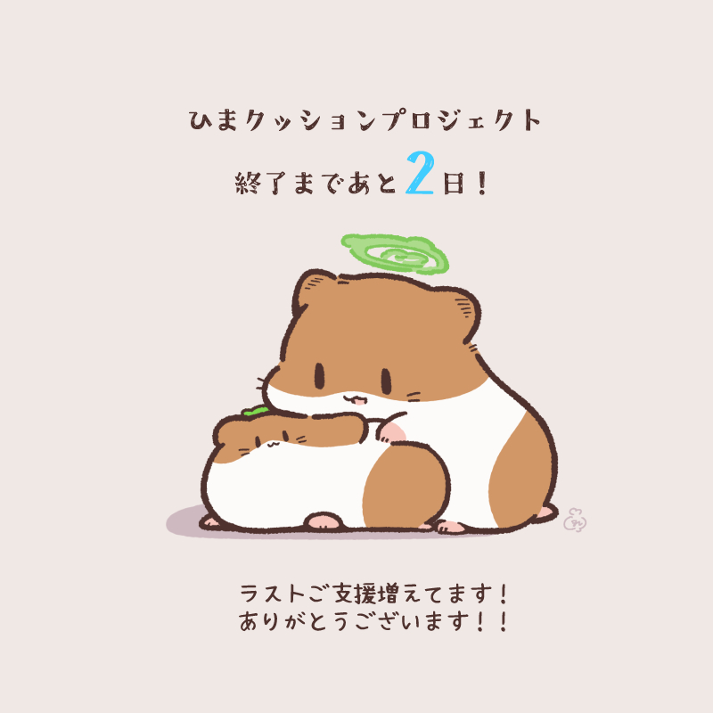 ひまクッションプロジェクト終了まであと2日🌈 こんなにでっかいひま