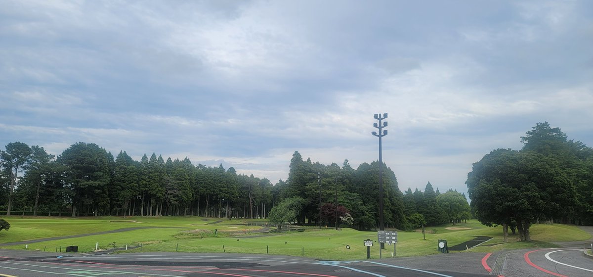 プリン伯爵 tweet media