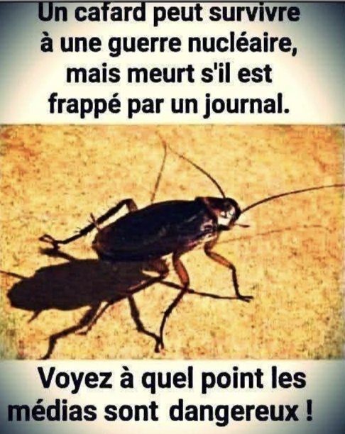 Sagesse Pure tweet media