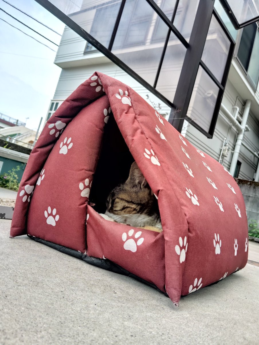<a href="/rkNq1zz9auIv0cC/">かんみかん</a> 今日もひきこもり 🐾

　　プーちゃんズハウスの全容 📸🐒♪