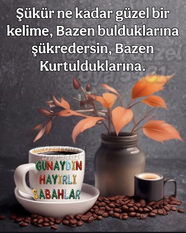 🦅Selçuk 🦅KARA🦅44malatya44BJK🦅 tweet media