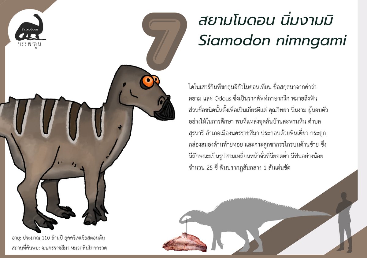 Sita Manitkoon tweet media