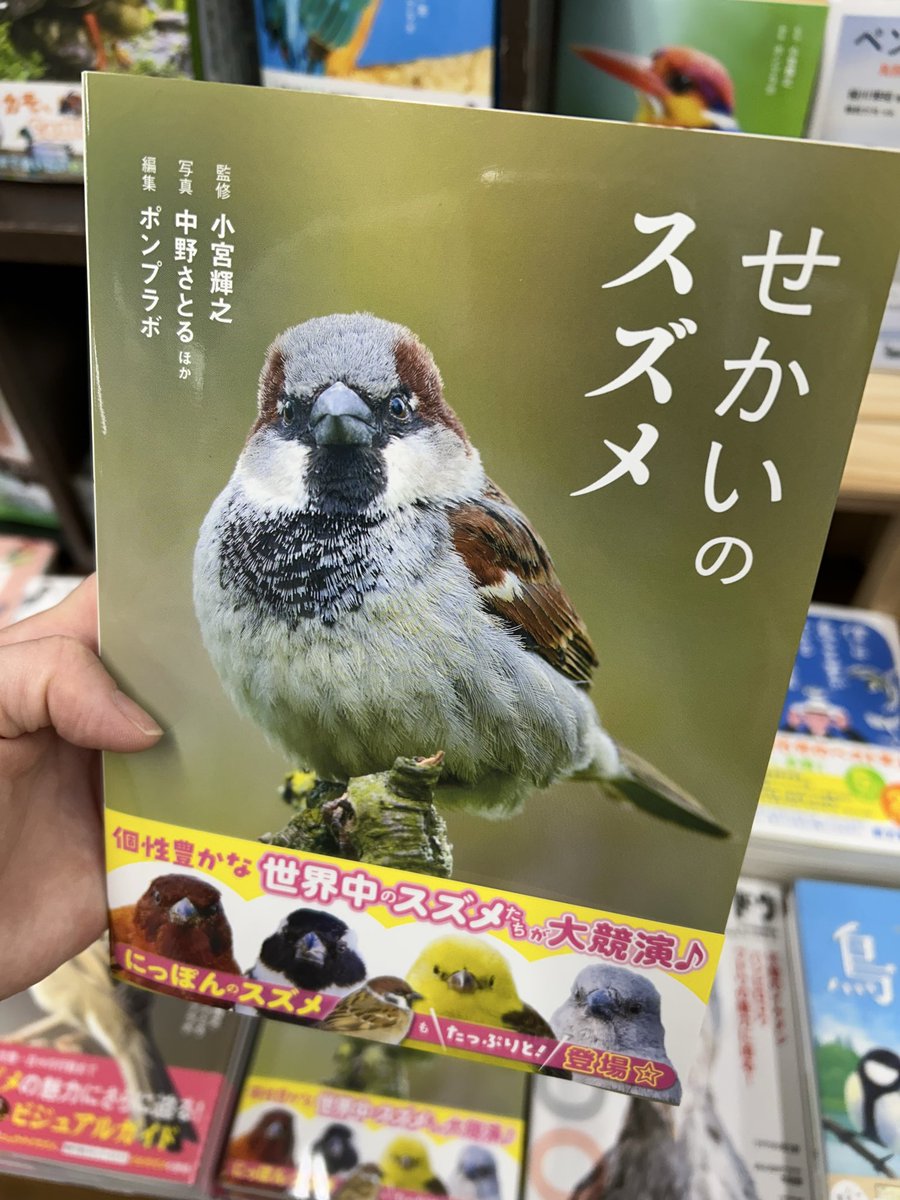 また鳥ですが 新刊です 世界には色んなスズメがいるんですね！ 日本の