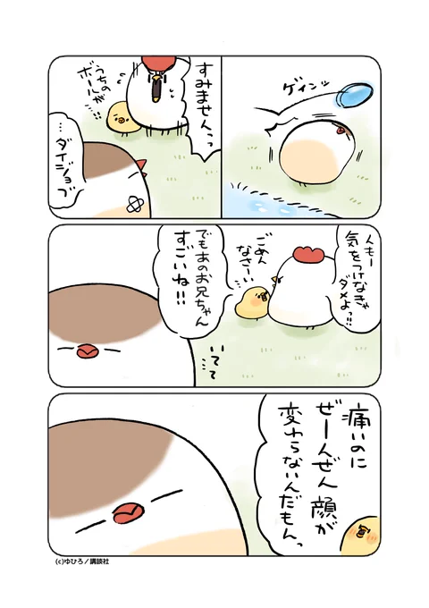 (2/3) 