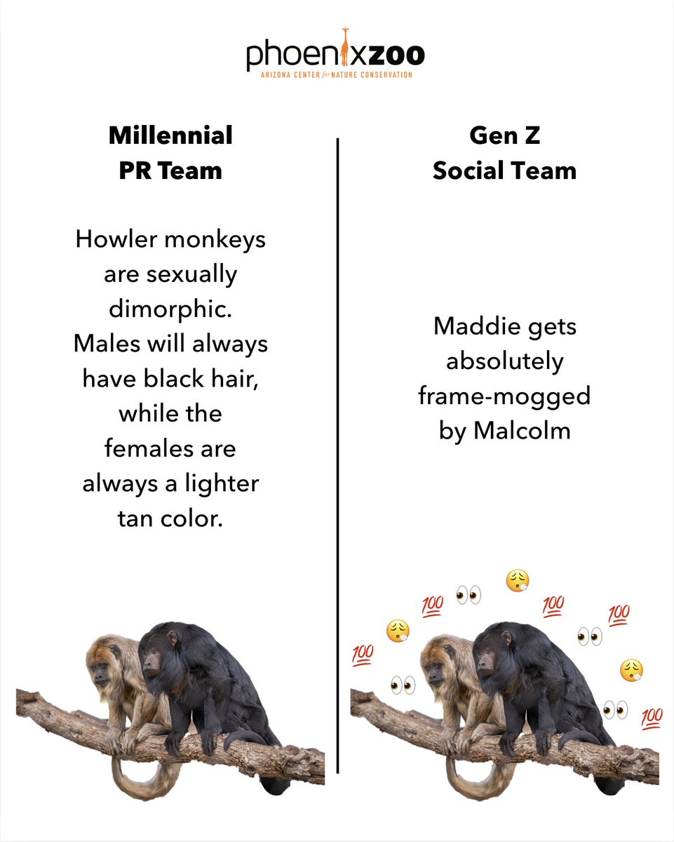 phoenixzoo's tweet photo. what my boss makes me post vs. what I really want to post https://t.co/pWiAVIZXaT
