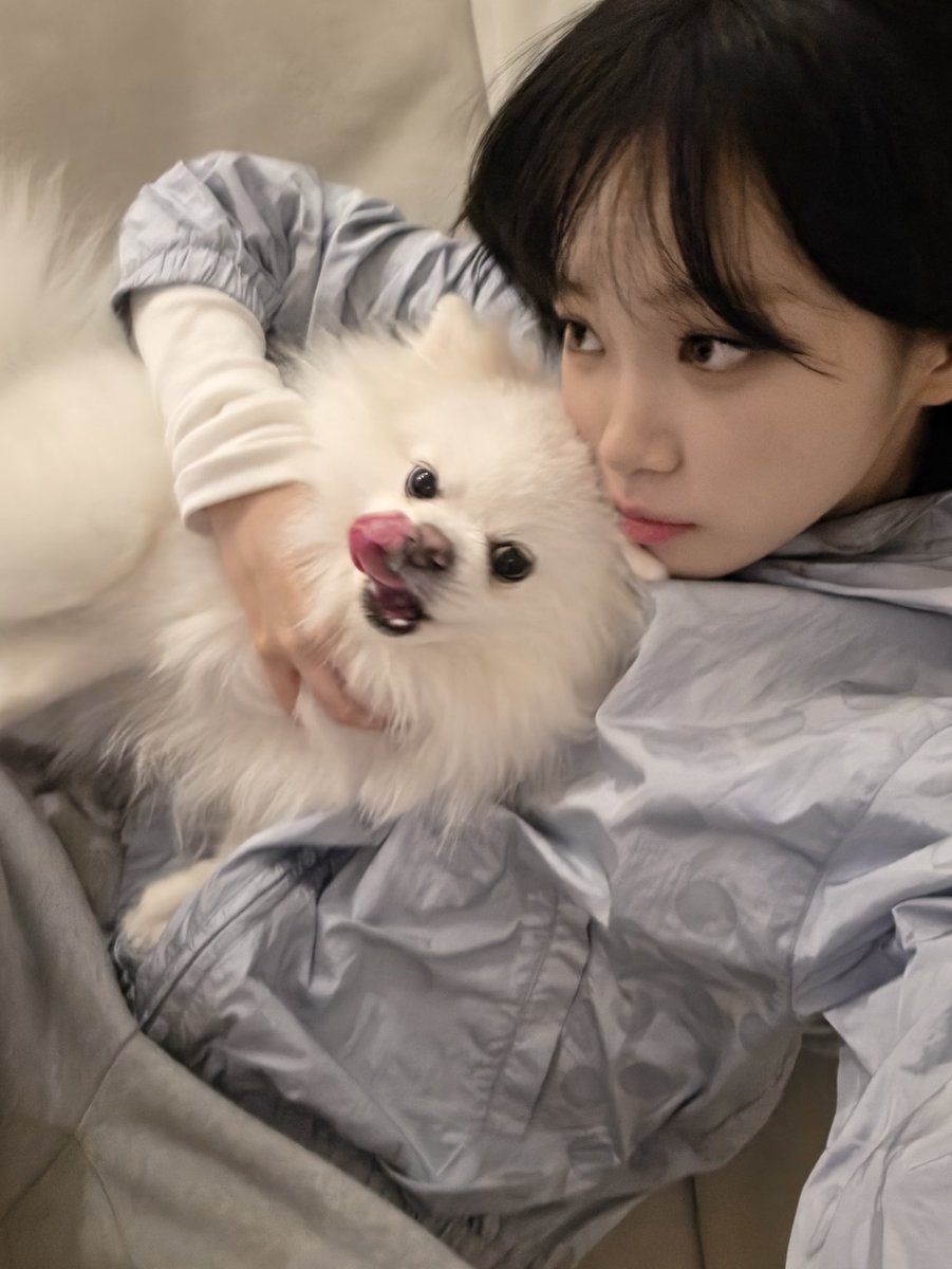 WEVERSE DM] 260508 #KIMCHAEWON 🐯 (1/2) : wait but : what is going