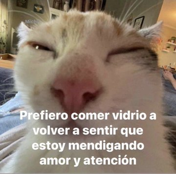 FraseSimple's tweet photo. https://t.co/qzhpmwKswo