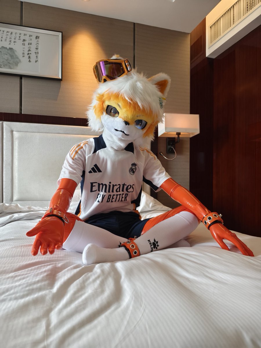 qiye300's tweet photo. 来点胶毛w #FursuitFriday https://t.co/c6tAYWvIYo