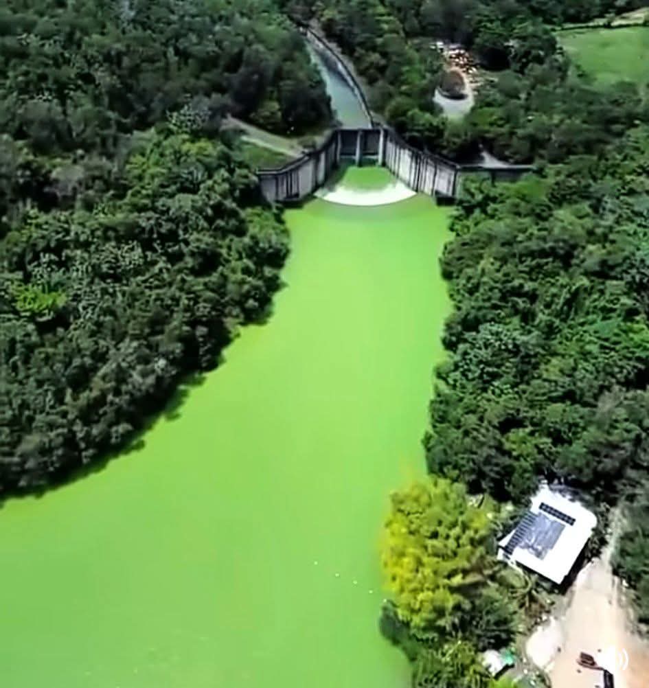 krlosdesigns's tweet photo. @matiasgarciard Aunque ustedes entiendan que lo que importa en el planeta es el petróleo, el oro o los bienes materiales les informo que lo que realmente importa es el agua que tenemos, Cuiden de ella. https://t.co/DR7UION0SI
