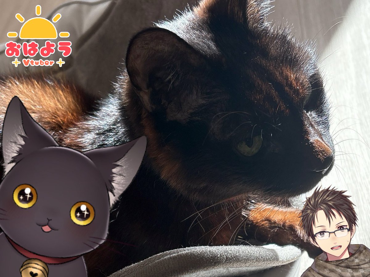 上那べべ📛🐈⬛LoL,スプラ3,モンハン/ 解説動画¦VCreator/VTuber tweet media