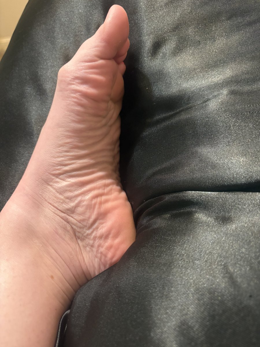 TexasRed12345's tweet photo. Pointed or Arched? https://t.co/77DP6kBGS0