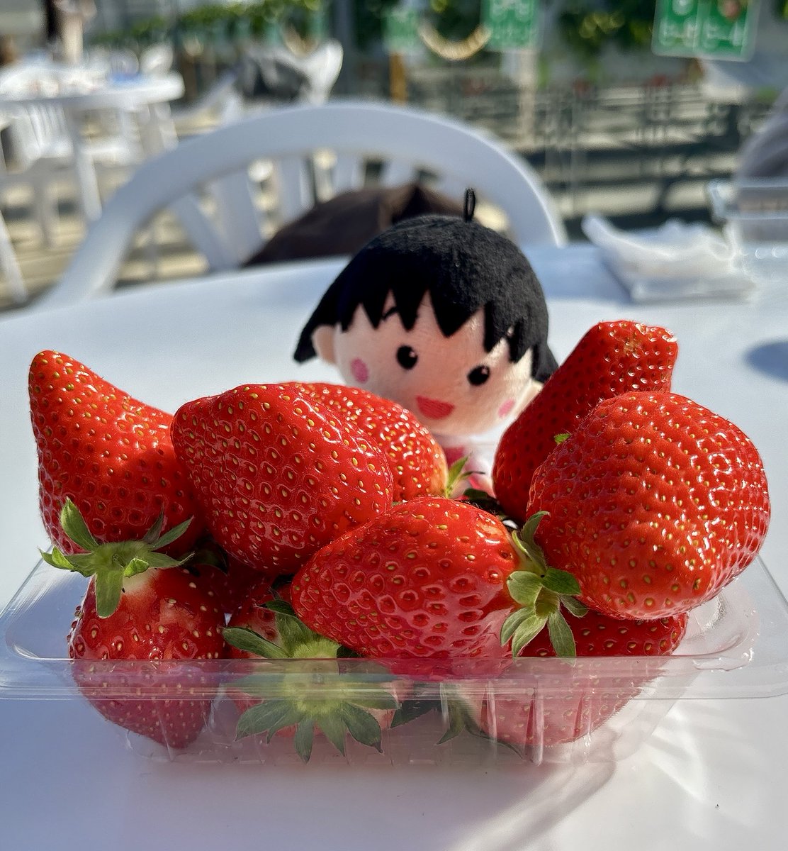 まるちゃんお誕生日おめでとう🎉🎂🍮 #ちびまる子ちゃん