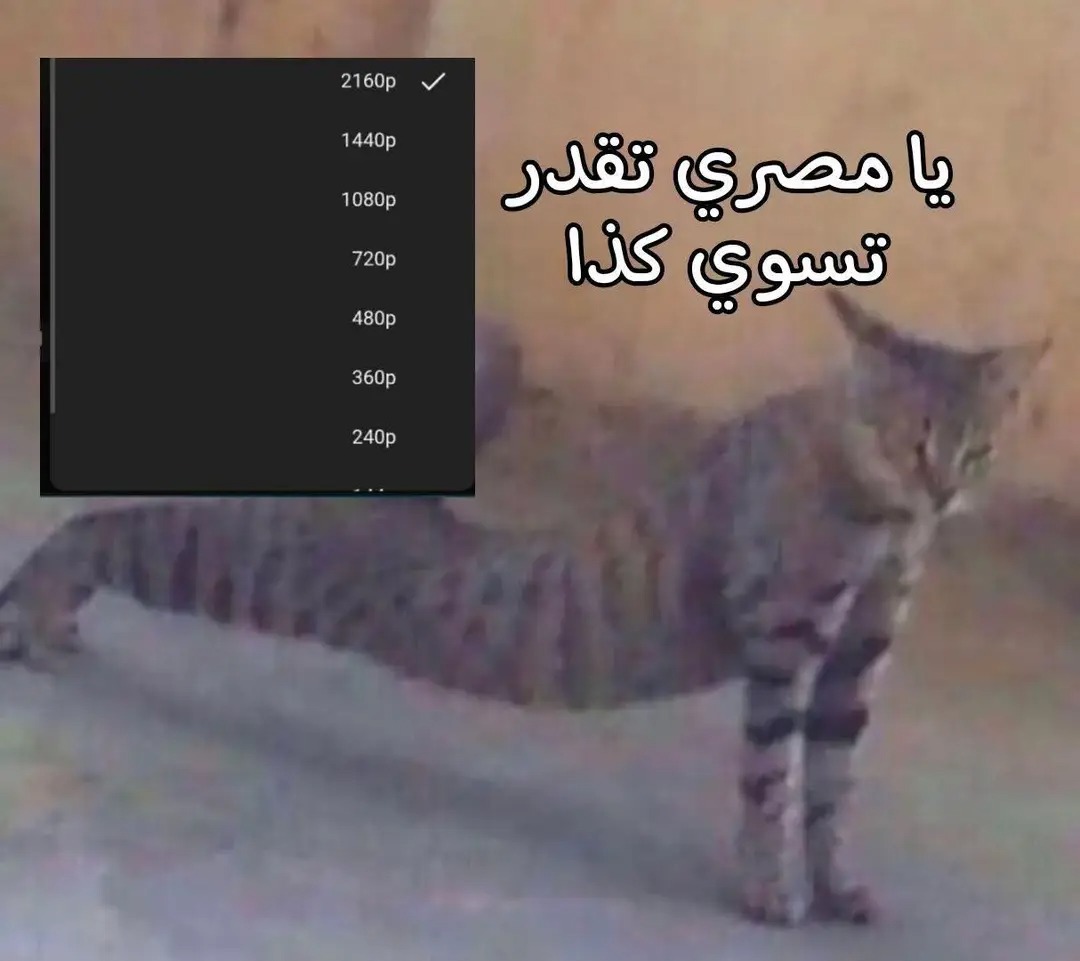 Hazem elzogby tweet media