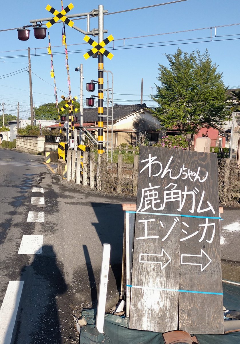 かさねつぐ tweet media