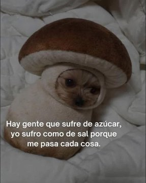 FraseSimple's tweet photo. https://t.co/UubnJhkSSC