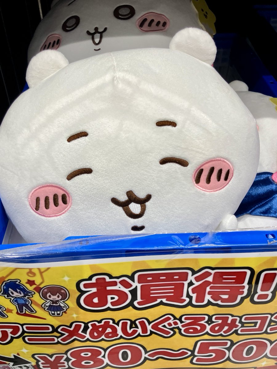 売り切れごめん　TBC GWセール らしんばんダイバーシティ東京 プラザ店】 GWセール開催中！✨ 特価品