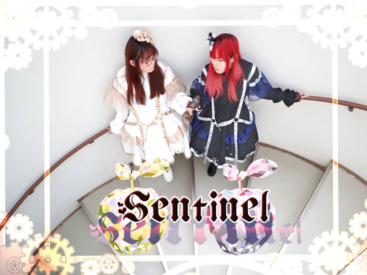 Sentinel【公式】 tweet media