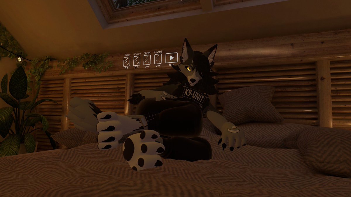 Hey beans this avatar could be the last of og K9 but don’t worry I’m currently working on new backups for my next project. This avatar is still my favorite so in 1 year it’s time to say goodbye and retire this adorable bean  I love you all so very much.