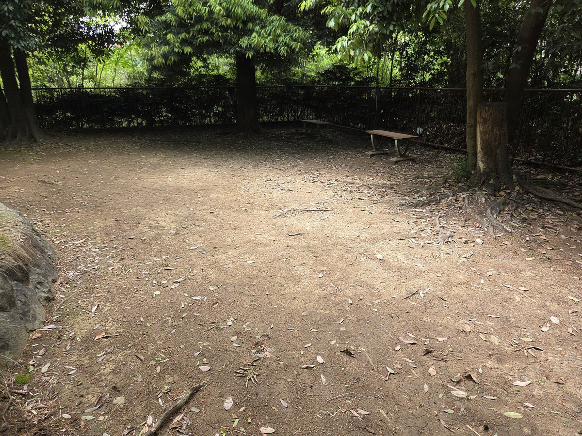 椅子で腕立てして帰る
