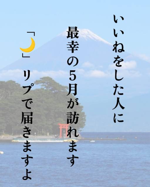 ノヴァ【縁結び占い師】 tweet media
