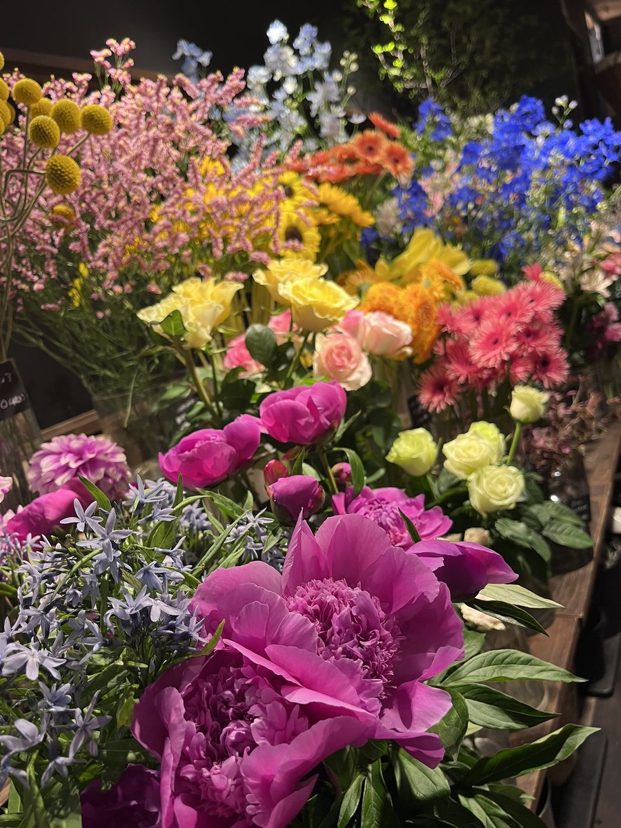 SoundFlower_KO's tweet photo. 京王相模原線稲城駅の花屋のサウンドフラワーです！
明後日は母の日、ご予約まだ間に合います！ブーケやかご花などご相談くださいませ。お問い合わせはお電話にてお願いします🤲
▶️ 0423799889

本日19時まで
9日 10時▶︎20時
10日 10時▶︎18時
にて営業します！

駅ビル🅿️ございます♪ https://t.co/Cilz6ZJqTL