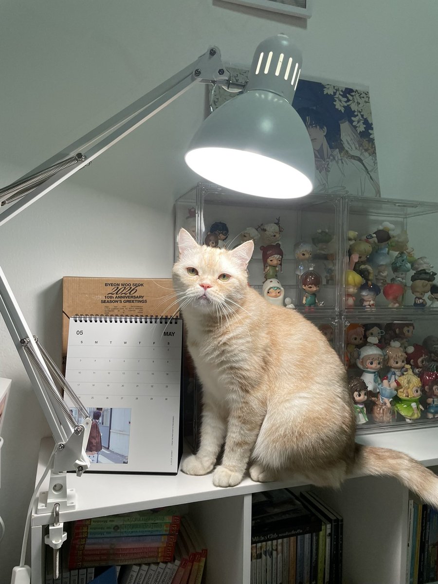 acatmarvel's tweet photo. รู้สึกเหมือนได้รับพรจากฟ้า มีแสงส่องสว่างนำทาง https://t.co/atGf7nyib7