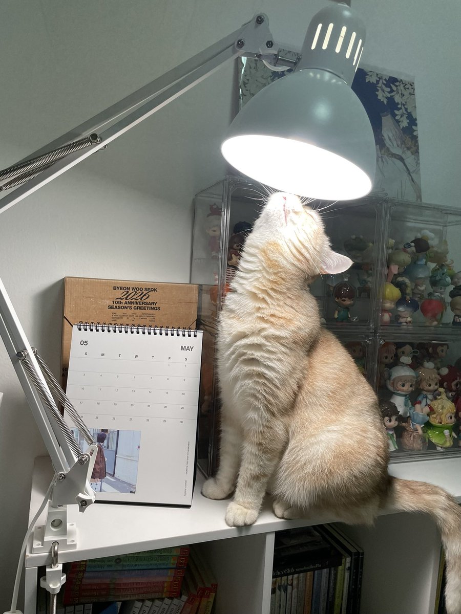 acatmarvel's tweet photo. รู้สึกเหมือนได้รับพรจากฟ้า มีแสงส่องสว่างนำทาง https://t.co/atGf7nyib7