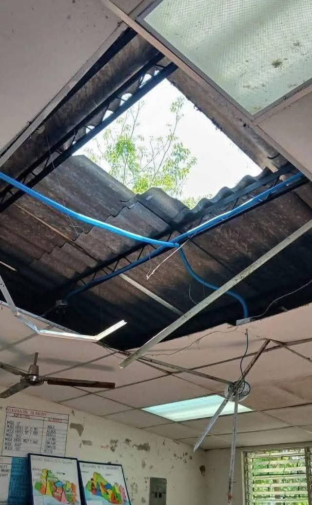 ElTrompudo2022's tweet photo. LAS ESCUELAS DE PRIMER MUNDO: DIRECTOR RESULTA LESIONADO TRAS COLAPSO DE TECHO EN CENTRO ESCOLAR DE SAN ISIDRO LABRADOR

Padres de familia hacen un llamado urgente al gobierno de Bukele, al Ministerio de Educación para que se priorice la reparación del techo del Centro Escolar Casco Urbano San Isidro Labrador, en Chalatenango Sur.

Según la información, este día en horas de la tarde el director del centro educativo se encontraba verificando las condiciones en las que se encuentra el techo de duralita, cuando repentinamente colapsó, provocando una caída de aproximadamente cuatro metros de altura.

El docente resultó con lesiones y fue auxiliado por autoridades locales del distrito de San Isidro Labrador, elementos de la Policía Nacional Civil y socorristas de Cruz Verde, quienes coordinaron su traslado de emergencia hacia el Hospital de Chalatenango.