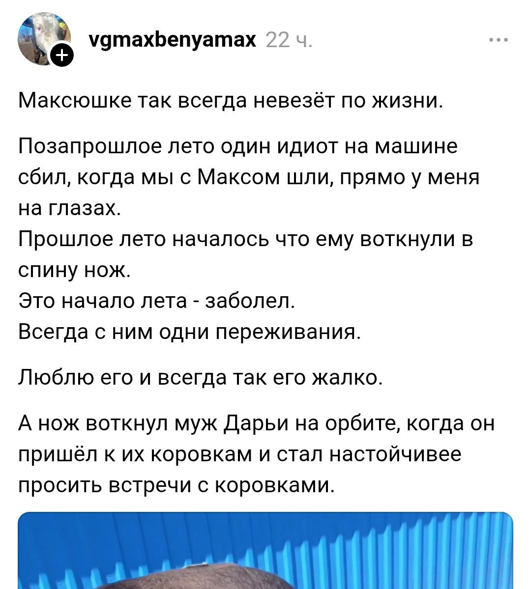 хейт-аккаунт Богучанских бычков tweet media