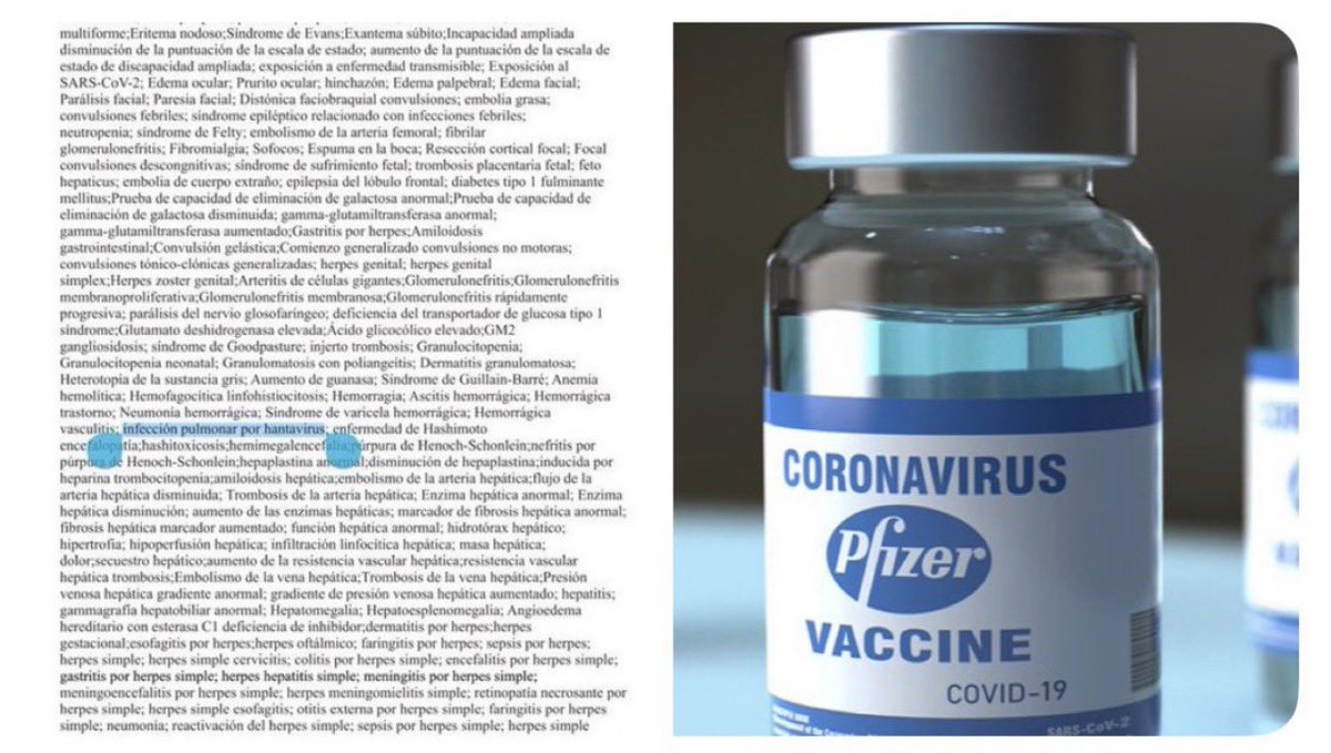 <a href="/itsmeback_/">Sabrina F.</a> GOMBLOTTOHHHHHHHH 

L'Hantavirus è elencato nel documento di 38 pagine di Pfizer a pag 33!

È uno dei 1.233 effetti collaterali elencati.

Ovviamente è sempre e solo un caso (cit)!