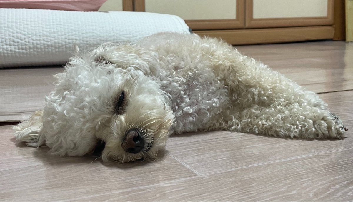 riceglue_choi's tweet photo. 바닥에 눌어붙은 누룽지 https://t.co/FcGQZg7kHO