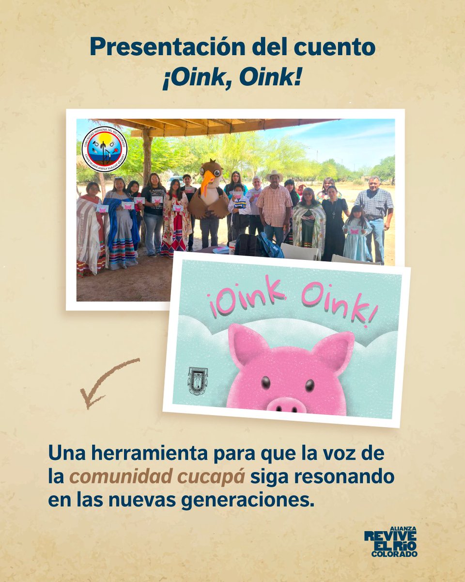 ReviveelRio tweet media