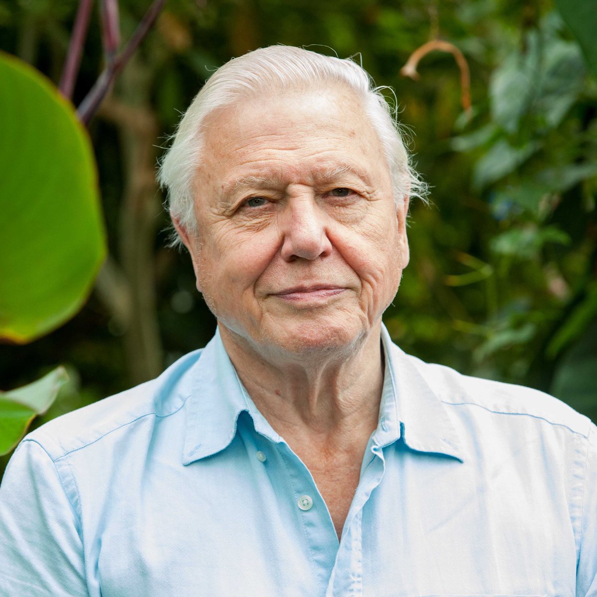 Happy 100th birthday to the legendary David Attenborough.